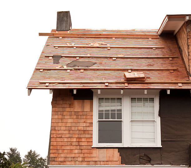 Best Storm Damage Siding Repair  in Greenville, KY